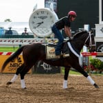 Preakness Profiles: Bayern