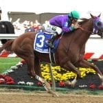 NTRA to focus on tax, economic issues in Congress