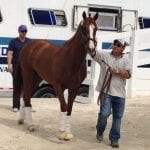Claimbox: Midlantic claiming sees January rise