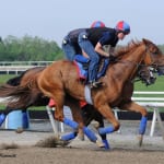 Rooting interests: Vitali hopes for ‘Valid’ Special