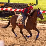 William Hill is gambling on Monmouth Park’s future