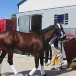 Preakness weekend stakes draw 483 nominations