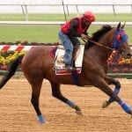Accelerate retains lead in NTRA Top Thoroughbred Poll